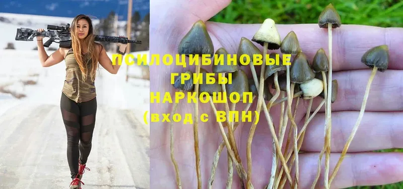 Псилоцибиновые грибы MAGIC MUSHROOMS  купить наркотик  Апрелевка 